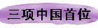 三项中国首位